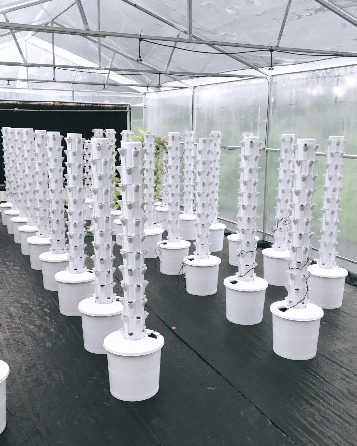 HYDROPONIC TOWER SYSTEM