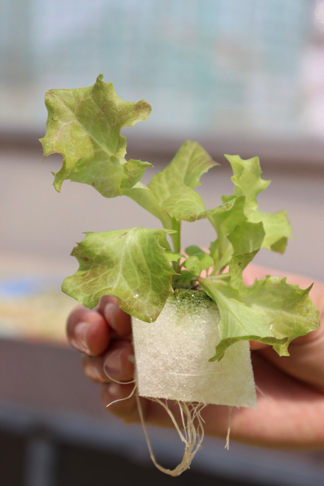 HYDROPONIC TOWER SYSTEM