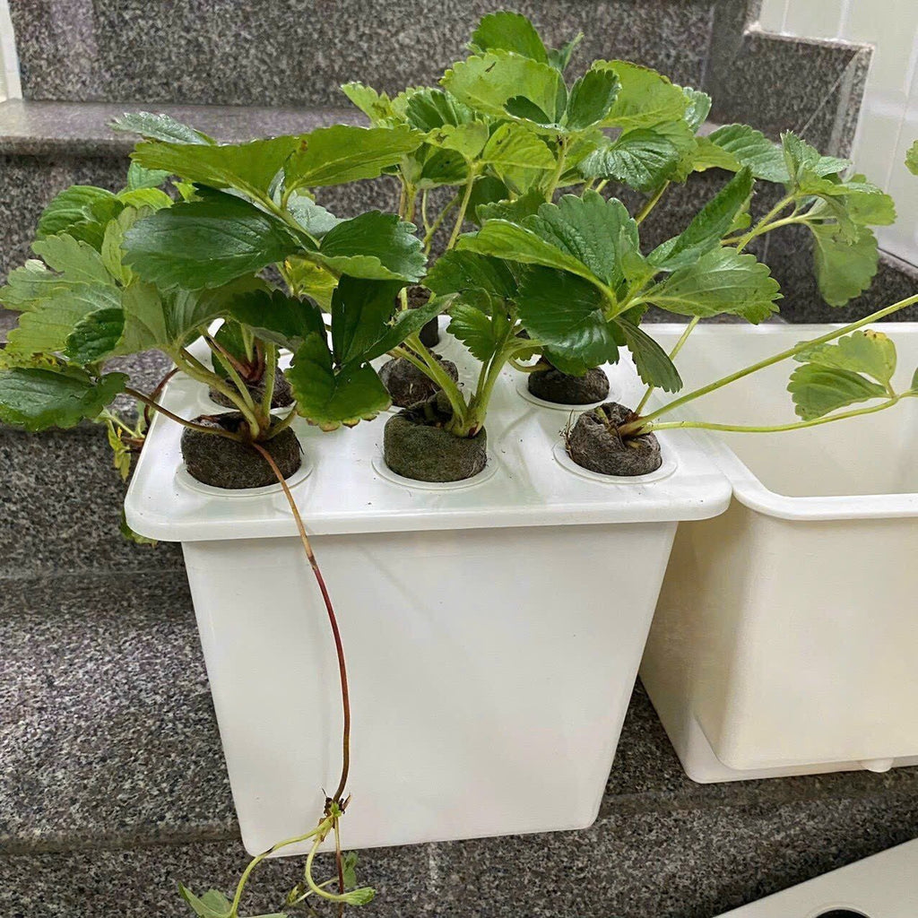 HYDROPONIC BUCKET 9 PLANTS (9 POTS)