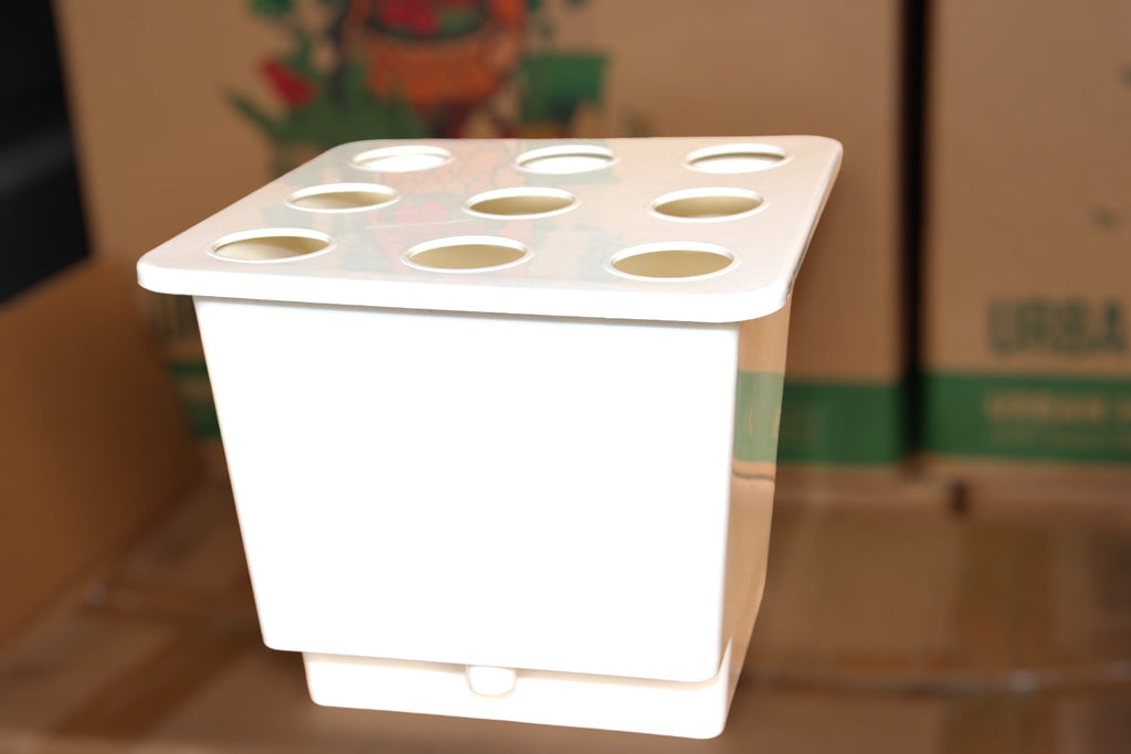 HYDROPONIC BUCKET 9 PLANTS (9 POTS)