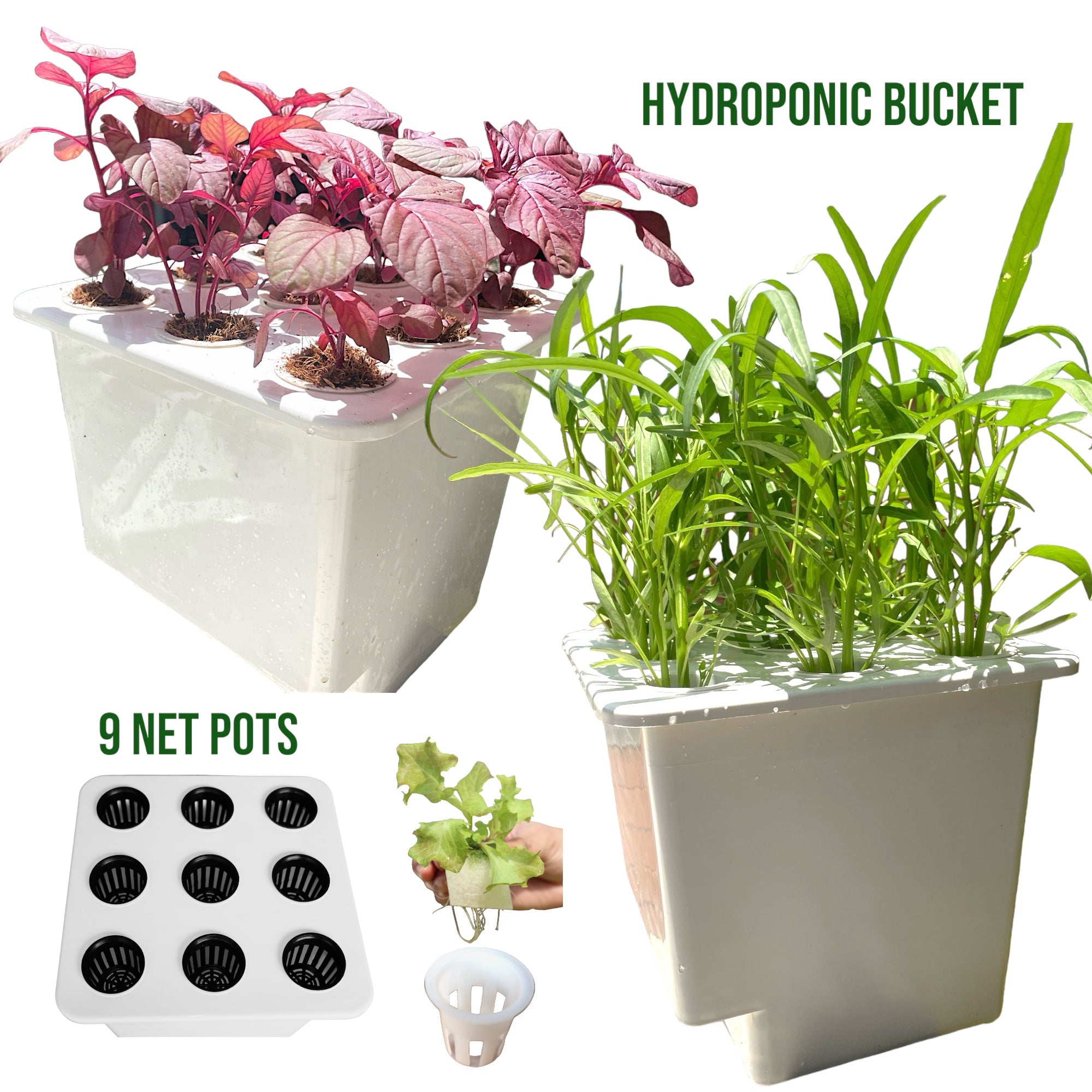 HYDROPONIC BUCKET 9 PLANTS (9 POTS)