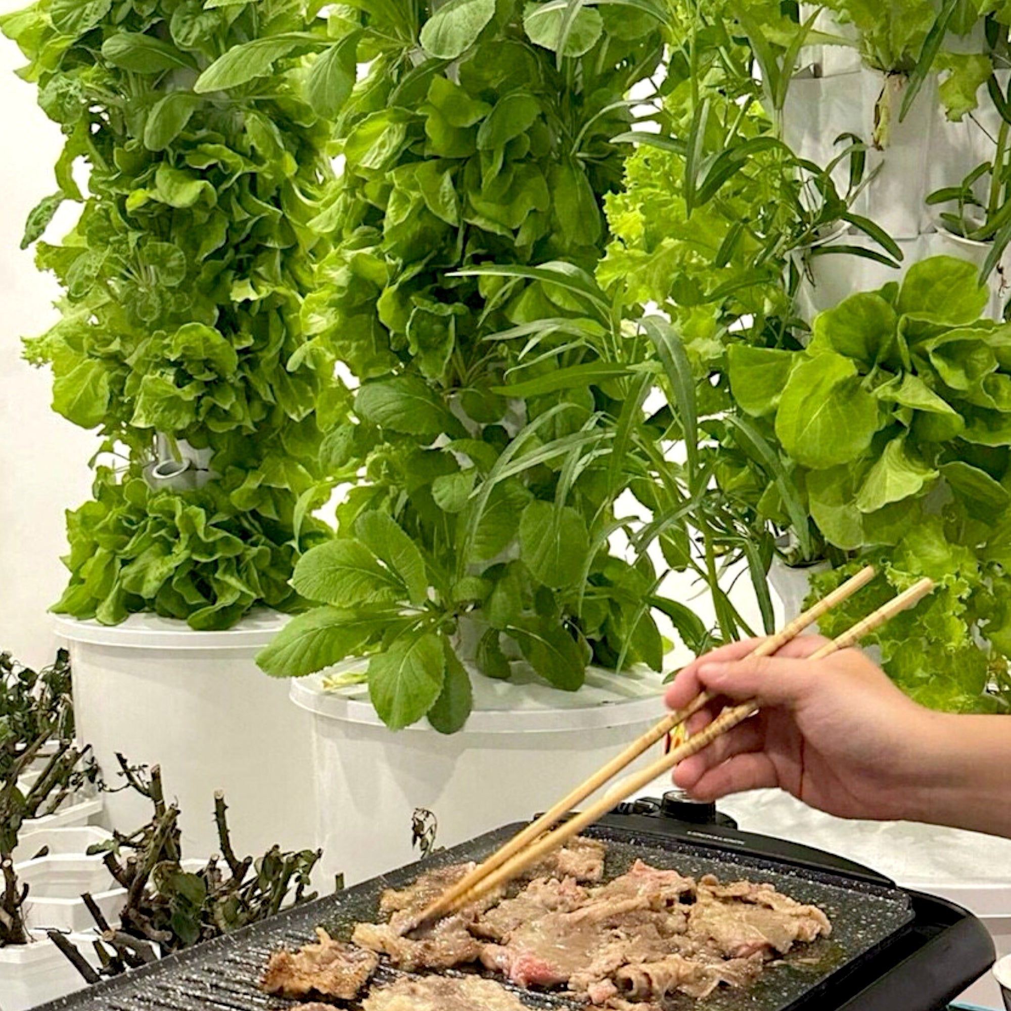 HYDROPONIC TOWER SYSTEM