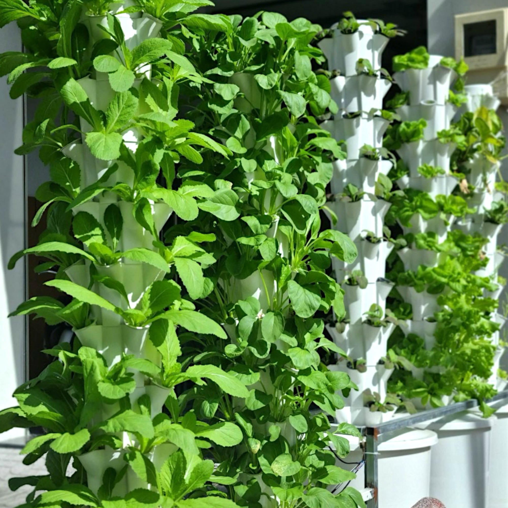 HYDROPONIC TOWER SYSTEM