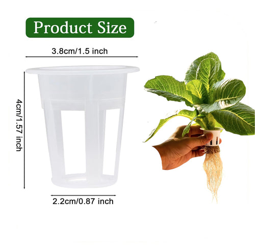 50  NET CUP POTS HYDROPONIC USE SYSTEM GROW KIT